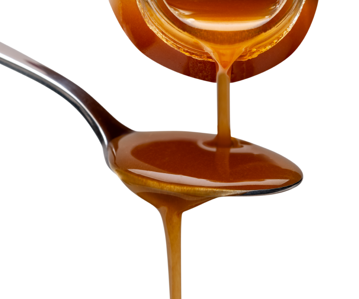 Höveler DOG LACHSÖL PLUS